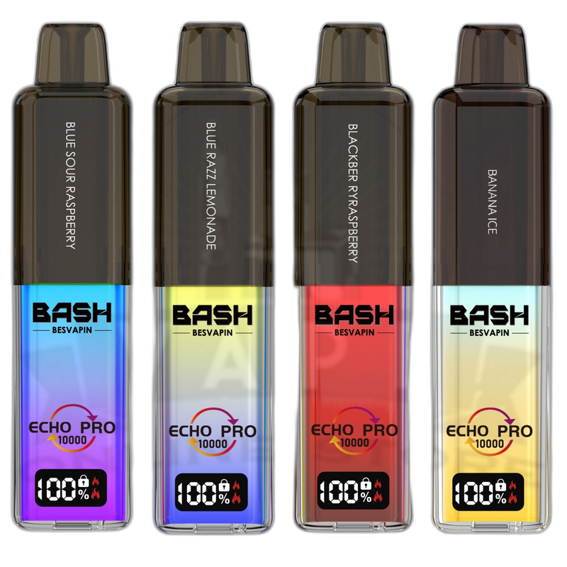 Bash Vape Echo Pro 10K Prefilled Pod Kit